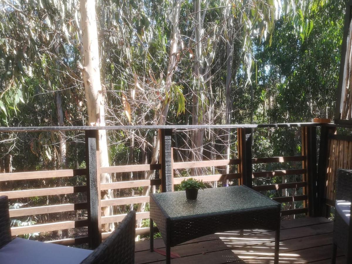 Nomade Apartamento *