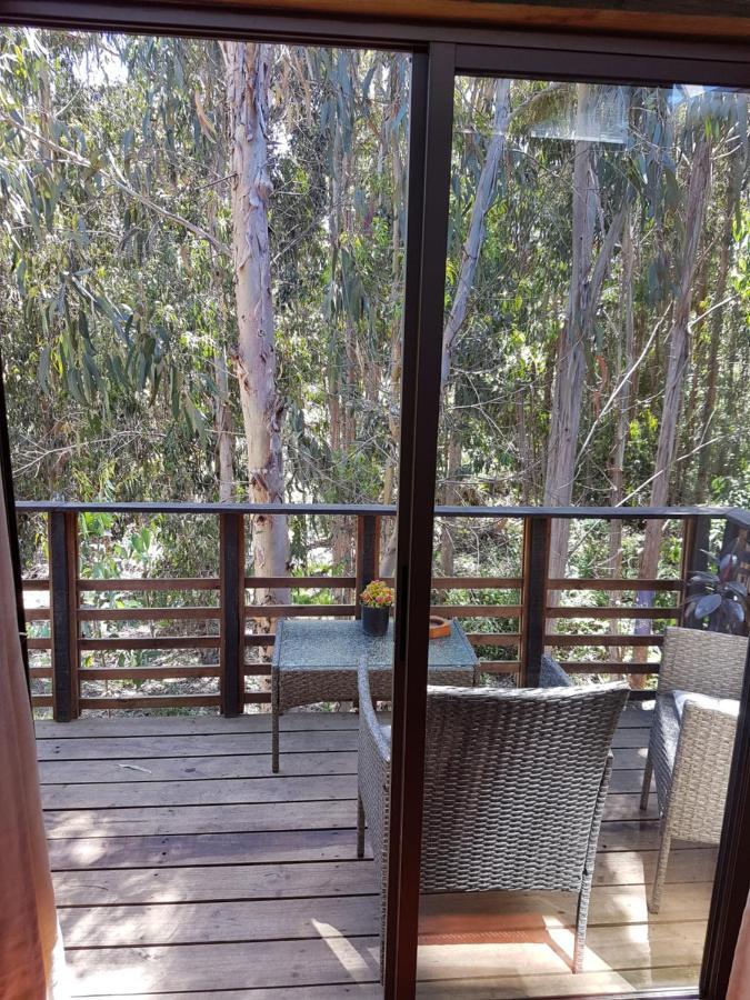 Apartamento Nomade *