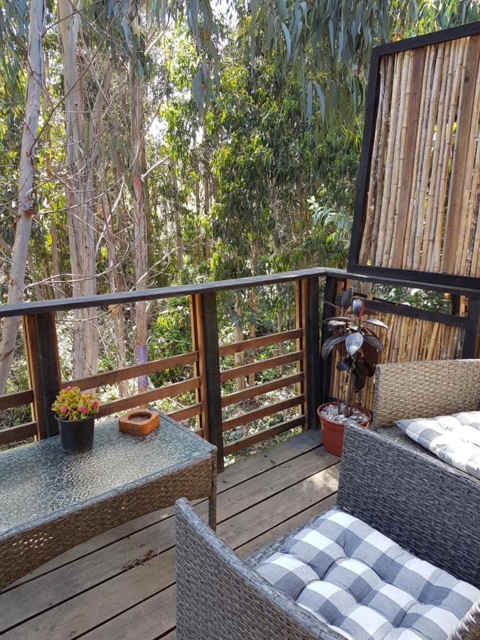 Apartamento Nomade