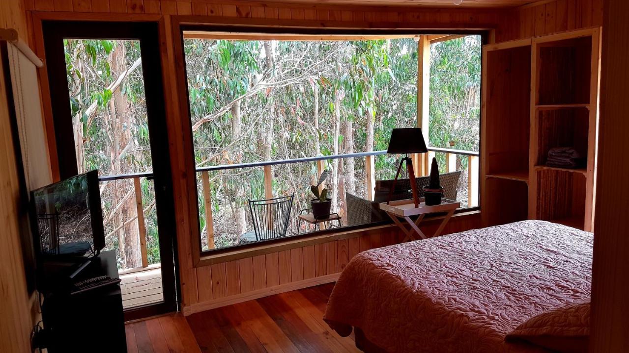 Apartamento Nomade *
