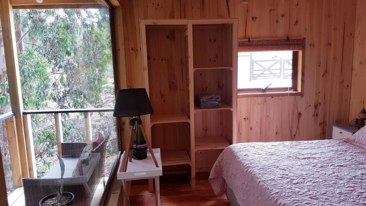 Nomade * Pichilemu